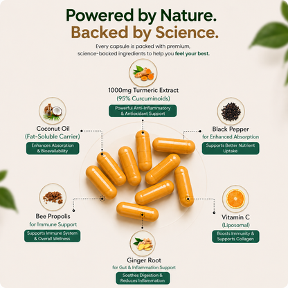 Turmeric Curcumin Capsules (1,000mg)